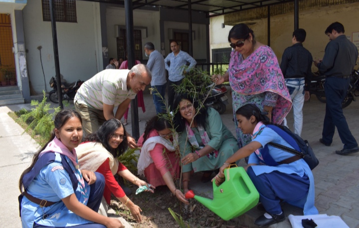 पीएलएमएस महाविद्यालय में विश्व पर्यावरण दिवस के उपलक्ष्य पर हुआ वृक्षारोपण