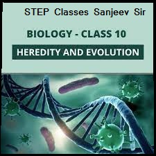 Class 10 Important Questions: Heredity and Evolution