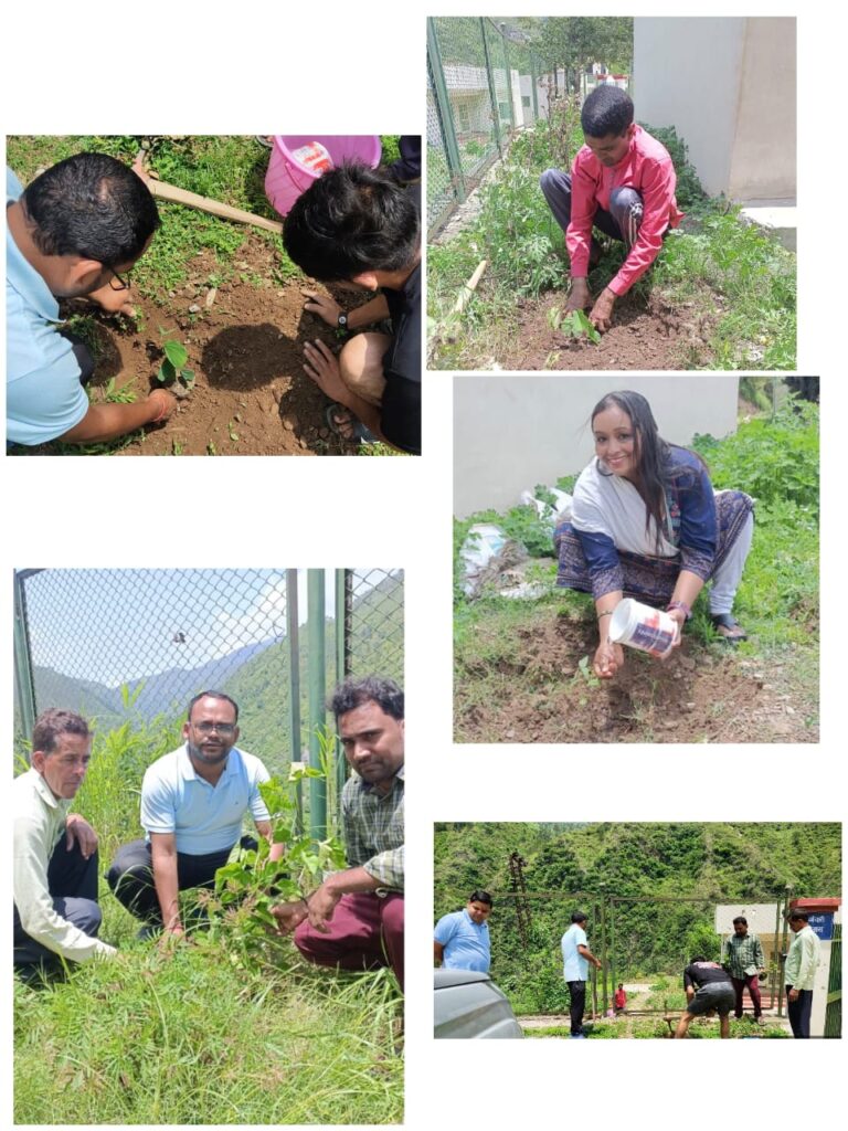 महाविद्यालय थत्यूड परिसर एवं समीप के ग्राम साटागड़ में हुआ हरेला पर्व के अवसर पर वृक्षारोपण