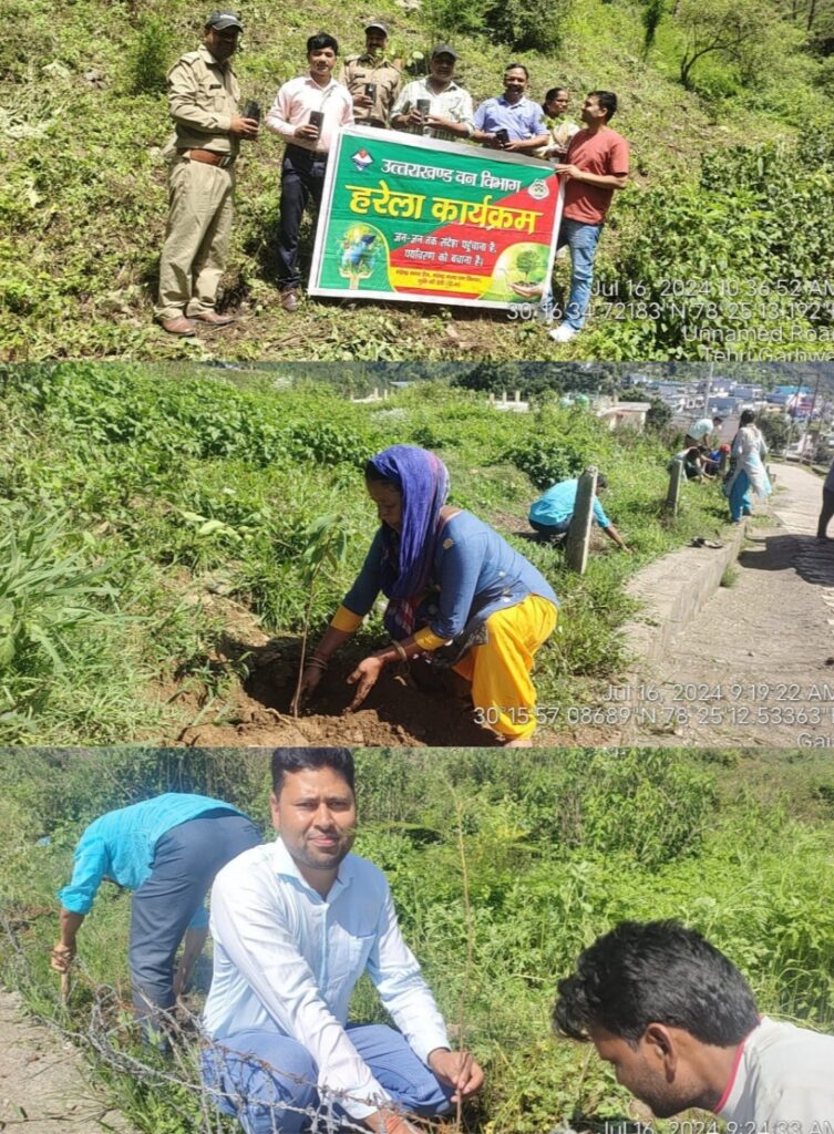 नगर पंचायत गजा चला रहा है वृहद वृक्षारोपण कार्यक्रम