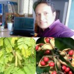 Img 20241204 Wa0242