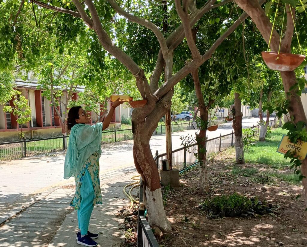 राजकीय कला कन्या महाविद्यालय कोटा में पूर्व छात्रा प्रिया सिंह ने किया वृक्षारोपण