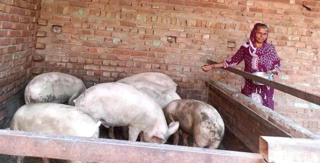 महिलाओं को सशक्त बनाने का एक सफल प्रयास: ग्रामोत्थान (रीप) परियोजना का कमाल
