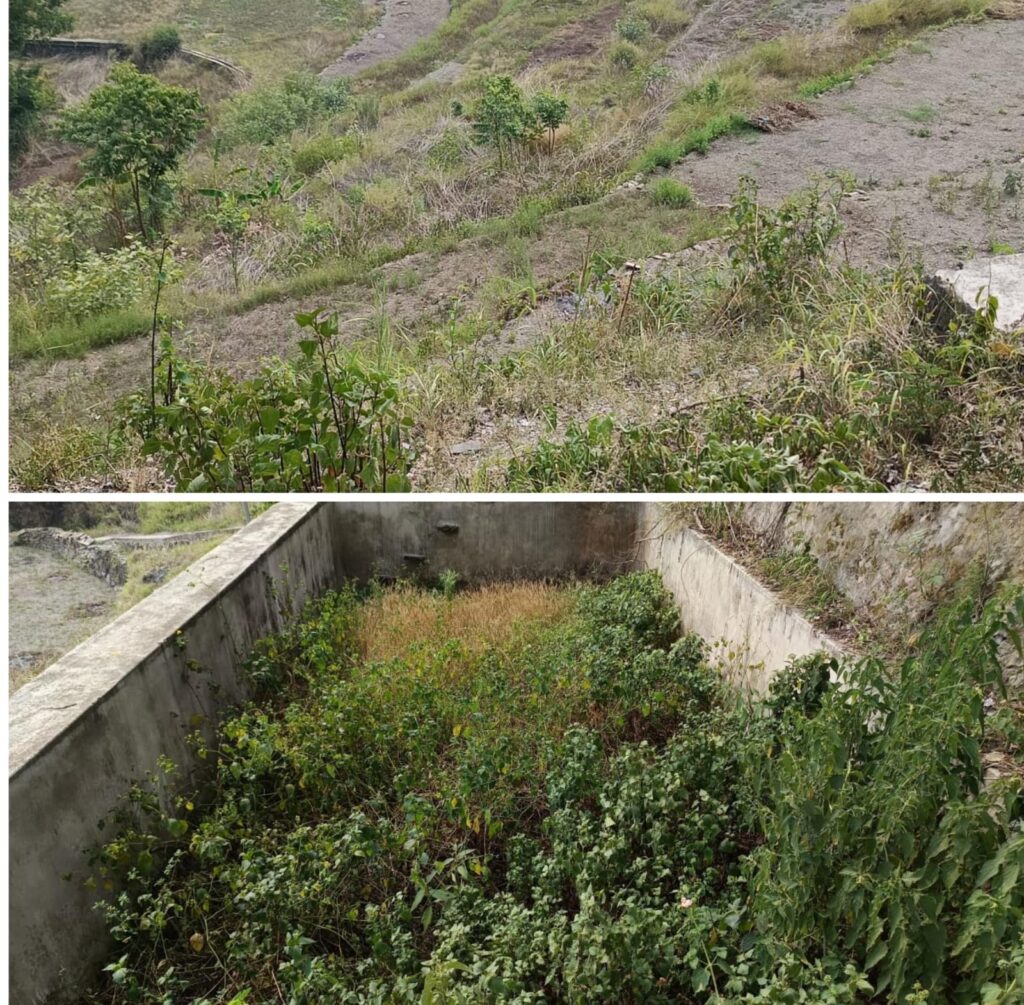 नैचोली गाँव : जहाँ लहलहाती थी फसल, गूल मे पानी नहीं होने से उग रही झाडियाँ