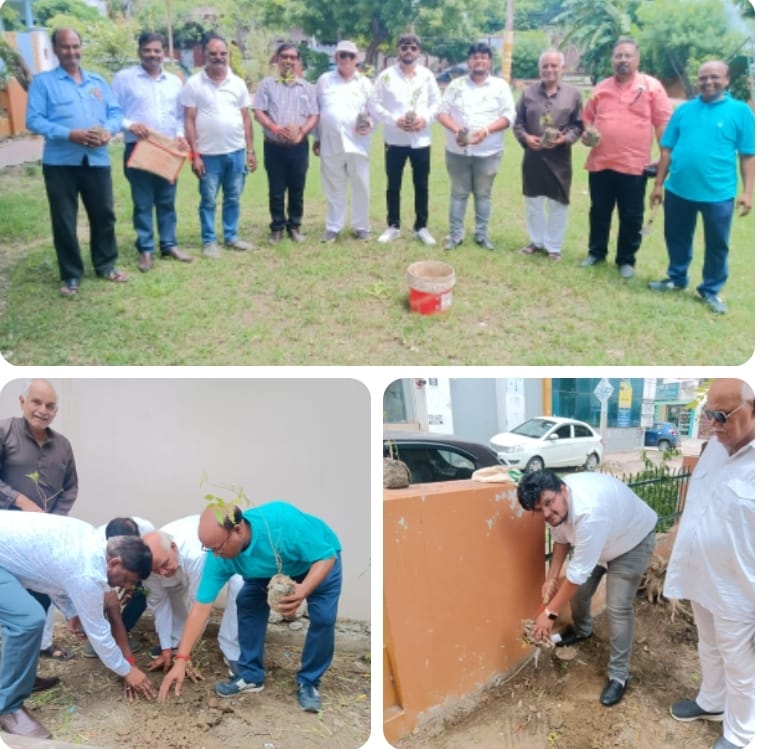 लखनऊ: आदर्श व्यापारी एसोसिएशन इंदिरानगर इकाई के पदाधिकारीयों द्वारा टिकोमा के 21 पौधे लगाए एवंं किया श्रमदान